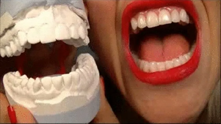 My Teeth Your Pleasure...Own My Dental Models