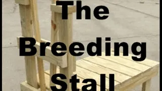 Breeding Stall