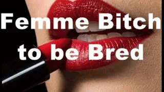 Femme Bitch to be Bred Breeding