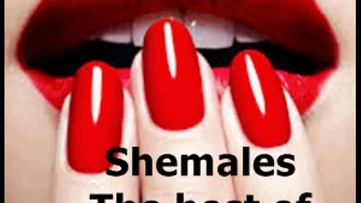 Shemales ~ Best of Both Worlds