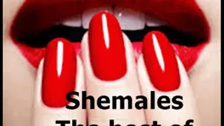 Shemales ~ Best of Both Worlds