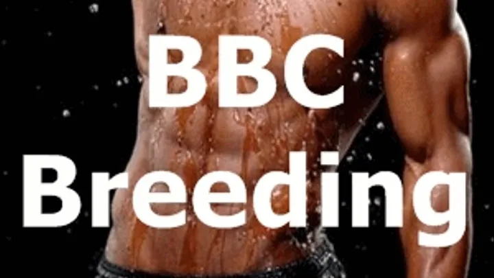 BBC Breeding