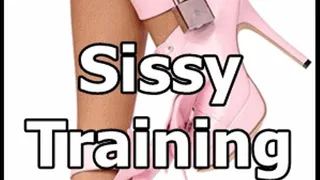 Sissy Training Lesson Four