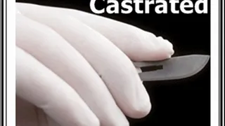 The Castrated Male