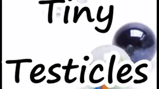 Tiny Testicles