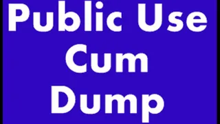 Public Use Cum Dump