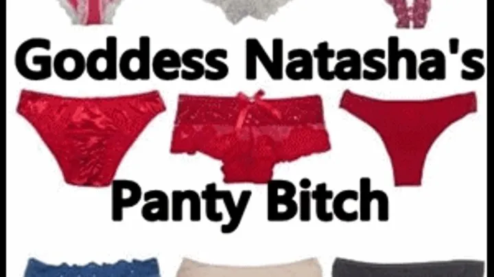 Goddess Natasha's Panty Bitch