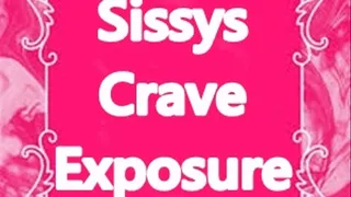 Sissys Crave Exposure