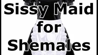 Sissy Maid for Shemales