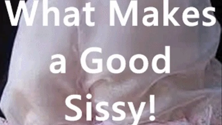 What Makes a Good Sissy!