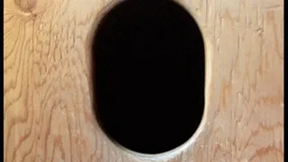 Gloryhole Cocksucker