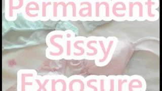 Permanent Sissy Exposure