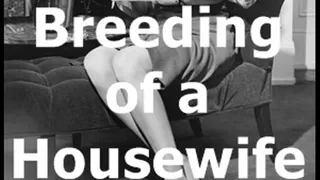 Breeding of a Housewife