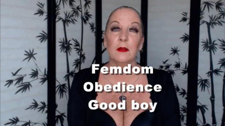 Lifestyle Femdom Obedience Good Boy