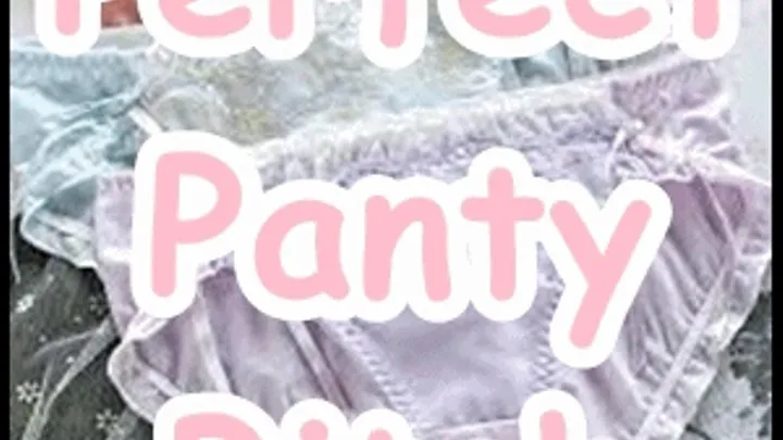 Perfect Panty Bitch