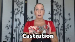 Castration Experience the Process Goddess Natasha