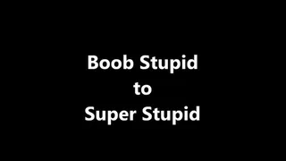 Boob Stupid to Super Stupid XHD