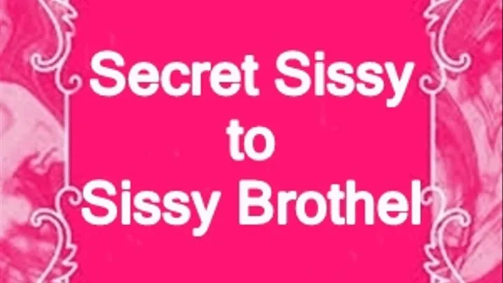 Secret Sissy to Sissy Brothel