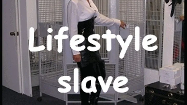 Lifestyle Mistress Lifestyle slave Training