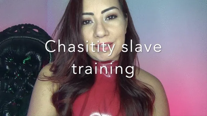 Chastity slave training