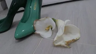 I stomped and crushed two white flowers with green shoes c