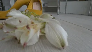 I crush flowers with yellow shoes a