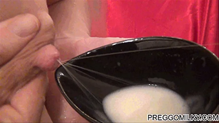 Preggomilky pregnant and lactation