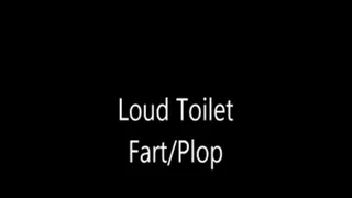 Loud toilet fart and plop