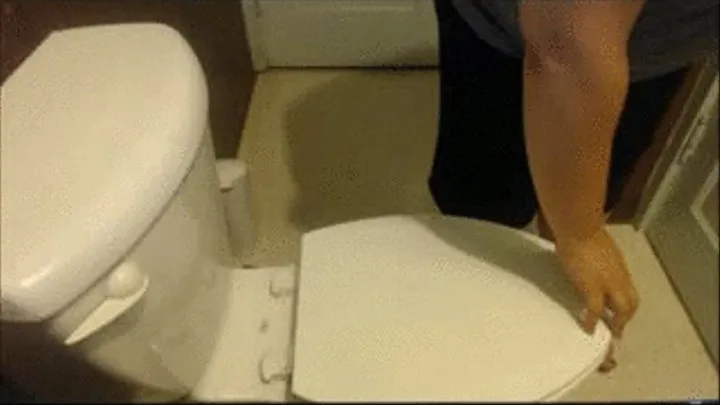 Explosive Toilet Farts