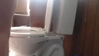 Morning Toilet Farts --Unedited