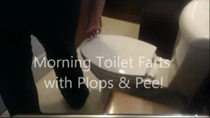 Morning Toilet Farts 2