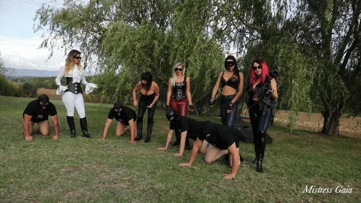 MISTRESS GAIA - PONYBOY SELECTION