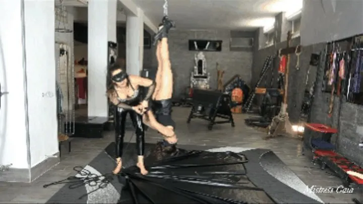 MISTRESS GAIA - PUSSY PLAY