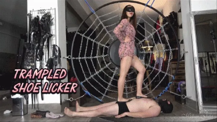 MISTRESS GAIA - TRAMPLED SHOE LICKER