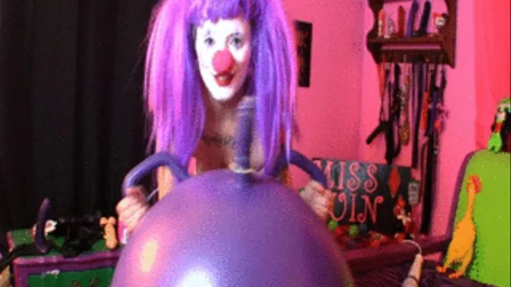 Bouncing Beauties: Clowny Quin