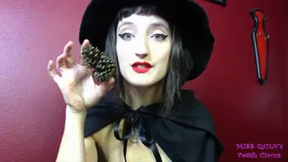 Witch Takes Everything from You