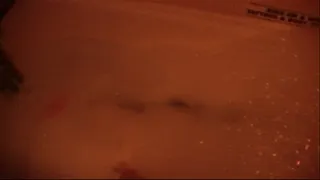 Squeaky Clean Little Piggies(full video)