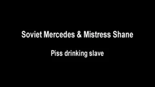 piss drinking slave