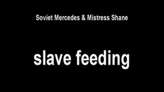 slave feeding