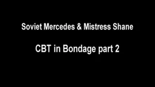 CBT in bondage pt2