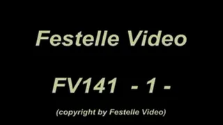 FV141: complete download