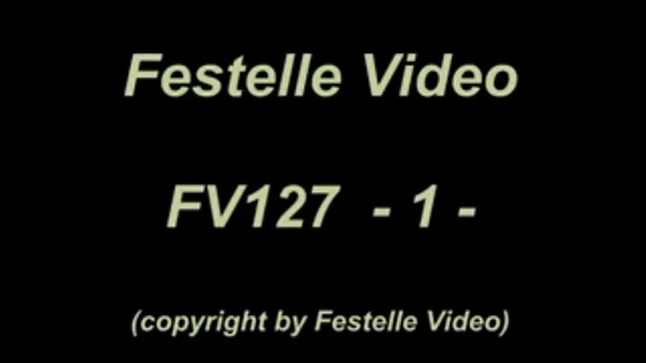 FV127: complete download