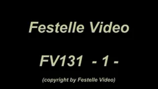 FV131: complete download