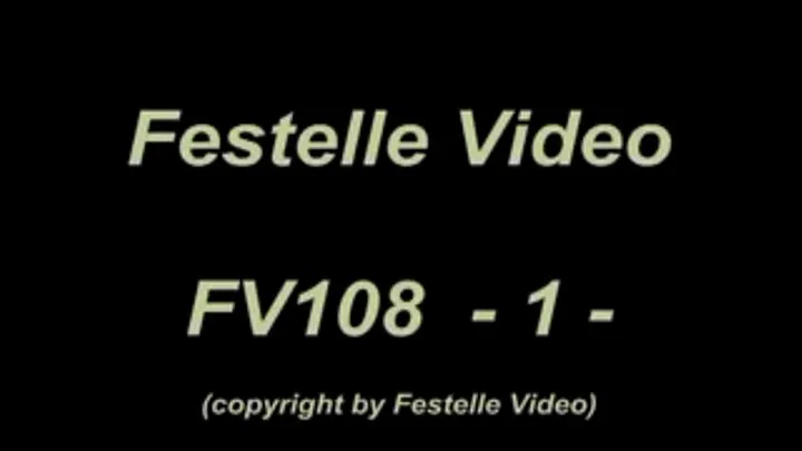 FV108: complete download