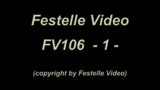 FV106: complete download