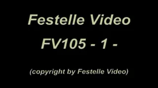 FV105: complete download