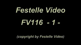 FV116: complete download