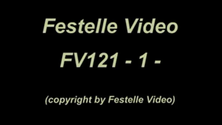 FV121: complete download