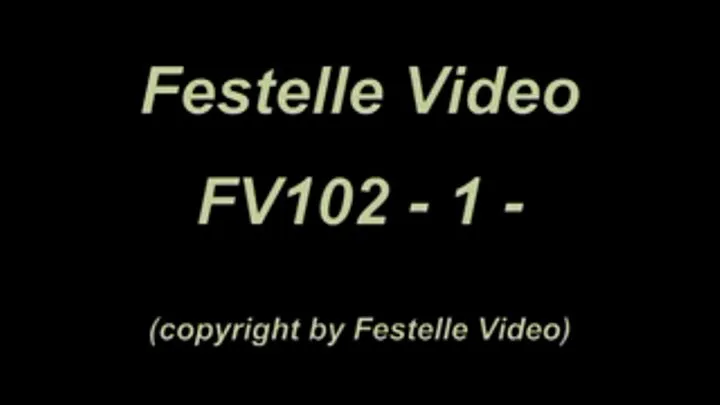 FV102: complete download