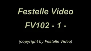 FV102: complete download